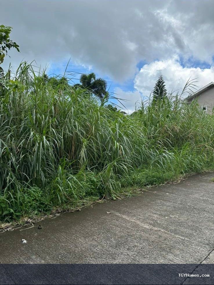 1,000 sqm Residential Lot in Gabriel Heights, Tagaytay